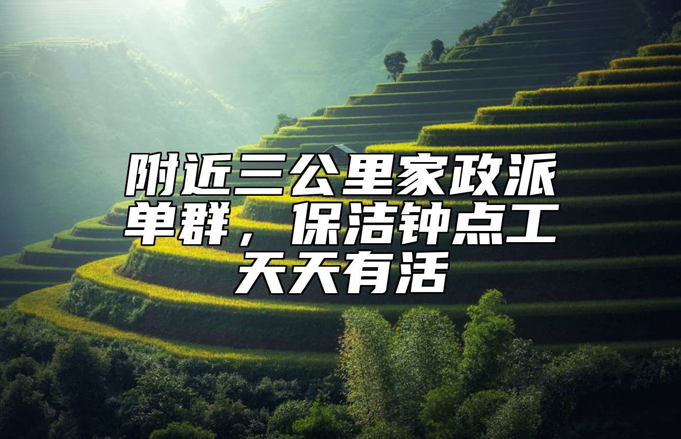 附近三公里家政派单群，保洁钟点工天天有活