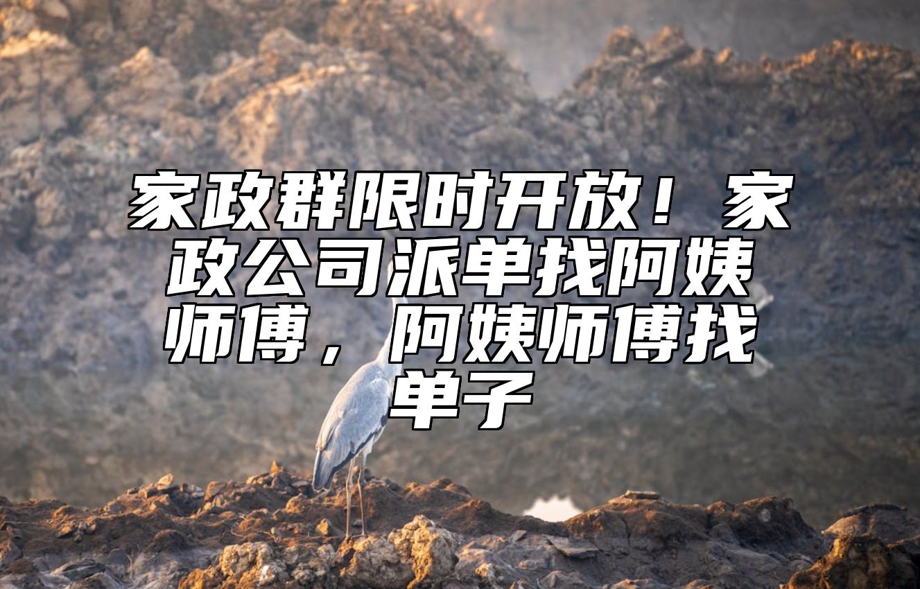 家政群限时开放！家政公司派单找阿姨师傅，阿姨师傅找单子