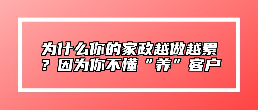 为什么你的家政越做越累？因为你不懂“养”客户