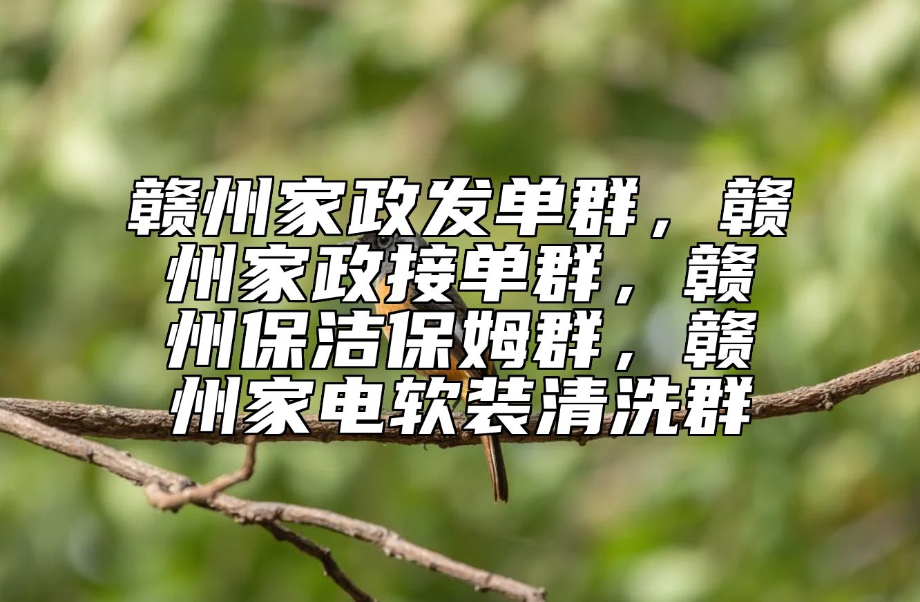 赣州家政发单群，赣州家政接单群，赣州保洁保姆群，赣州家电软装清洗群