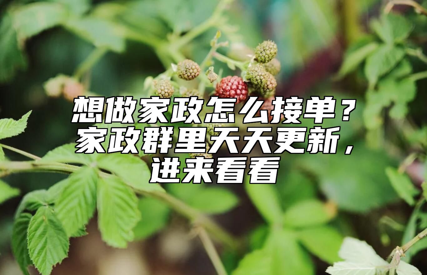 想做家政怎么接单？家政群里天天更新，进来看看