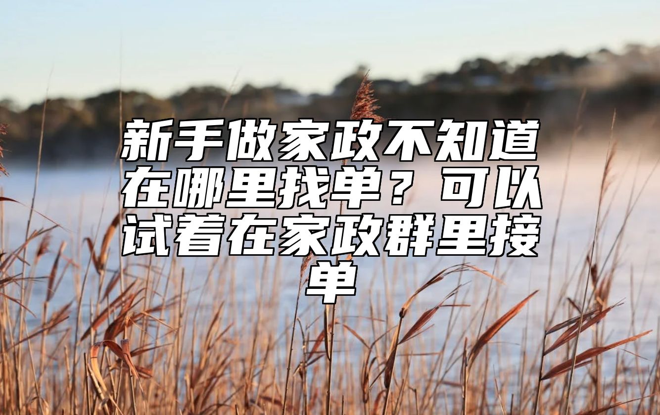 新手做家政不知道在哪里找单？可以试着在家政群里接单