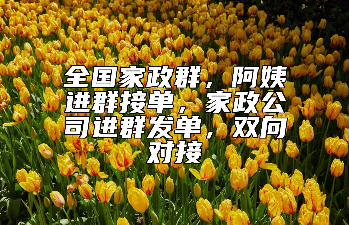 全国家政群，阿姨进群接单，家政公司进群发单，双向对接